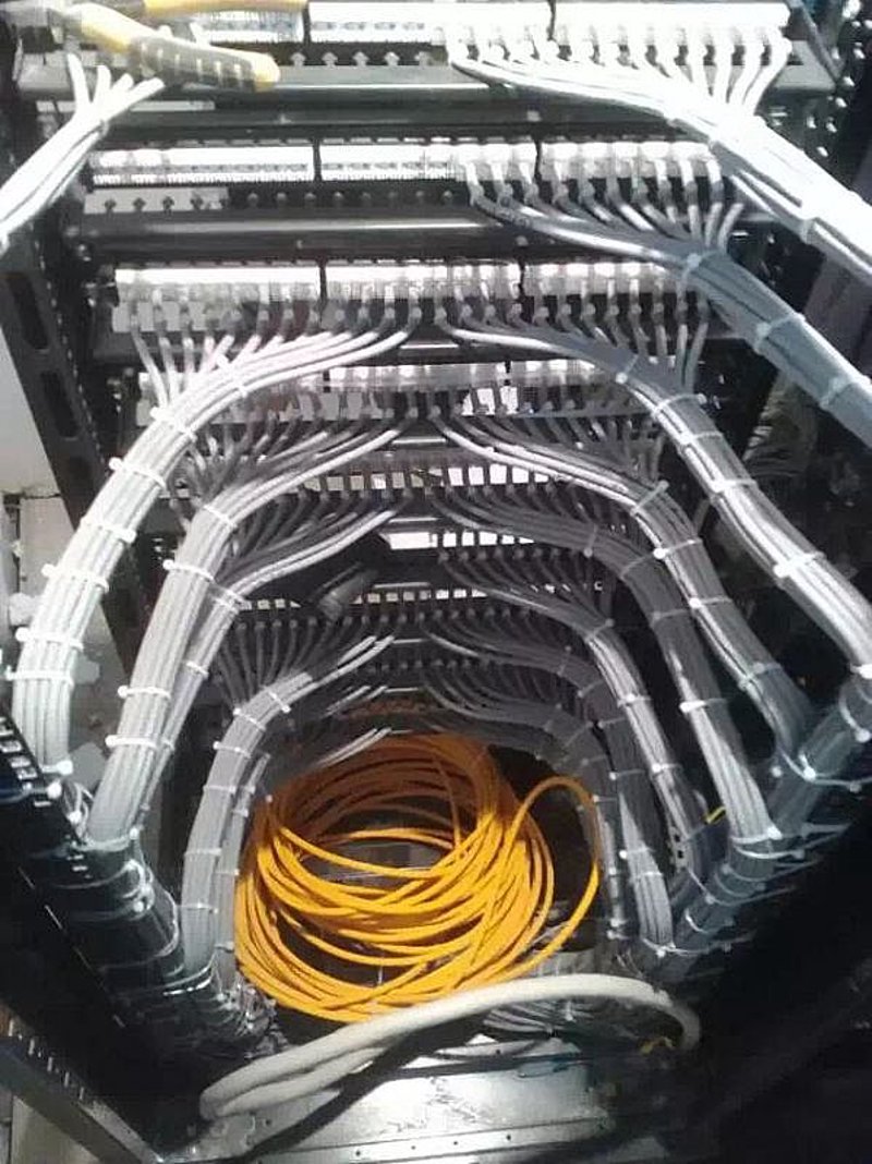 厦门出入境检验检疫技术中心：守护国门安全的科技堡垒